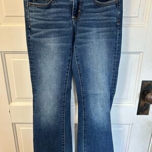 American Eagle Outfitters Dark Blue Straight Leg Jeans